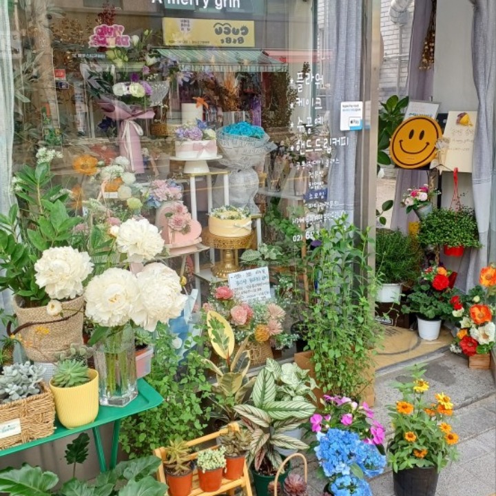 메리그린앙꽃