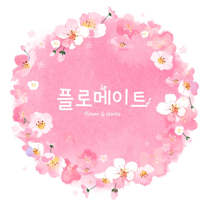플로메이트