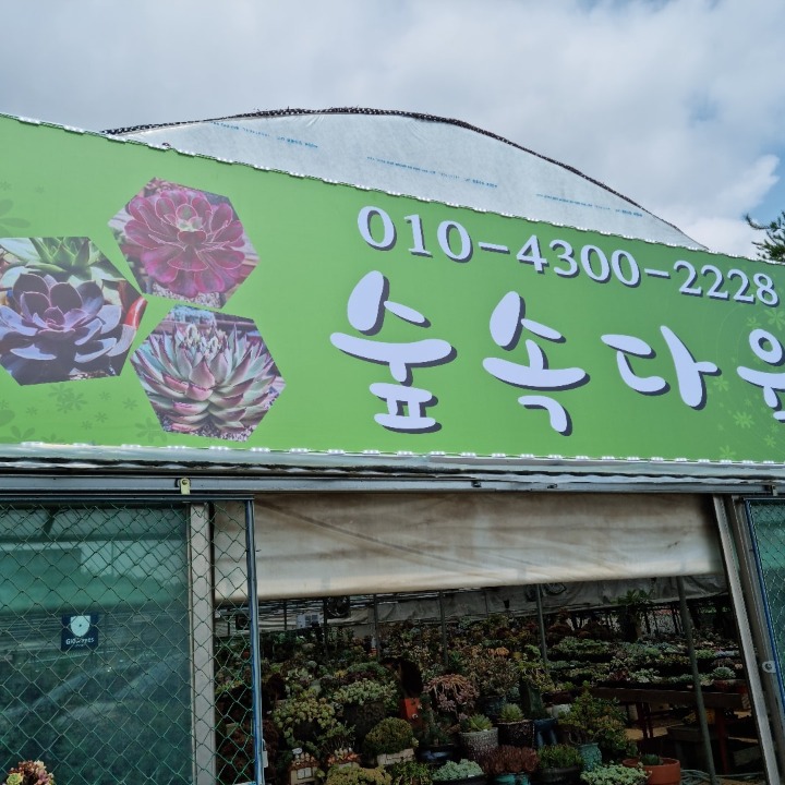 숲속다육식물원