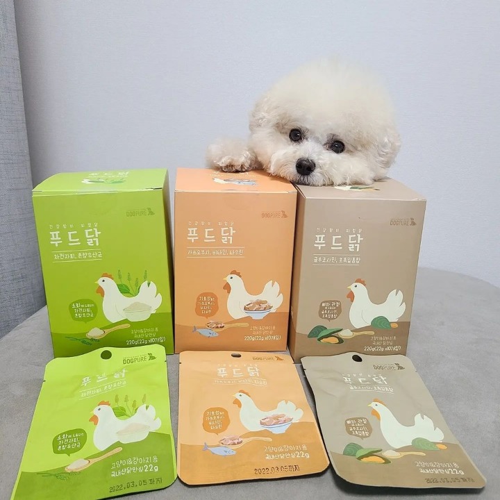 트렌드펫