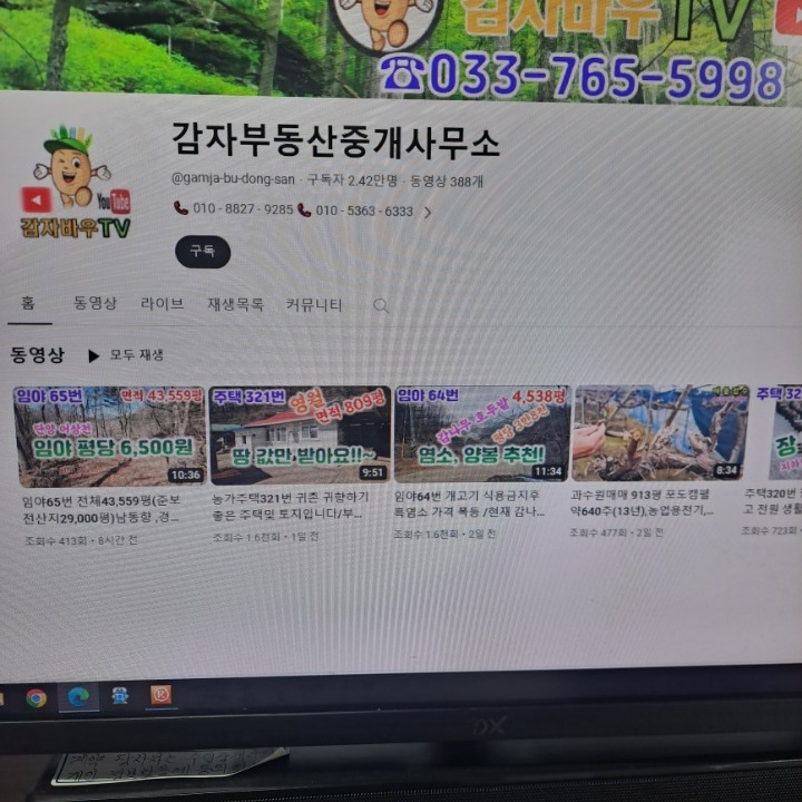 감자부동산 중개사무소