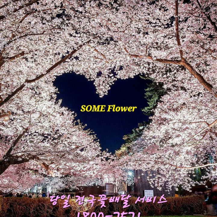 전국꽃배달 썸플라워