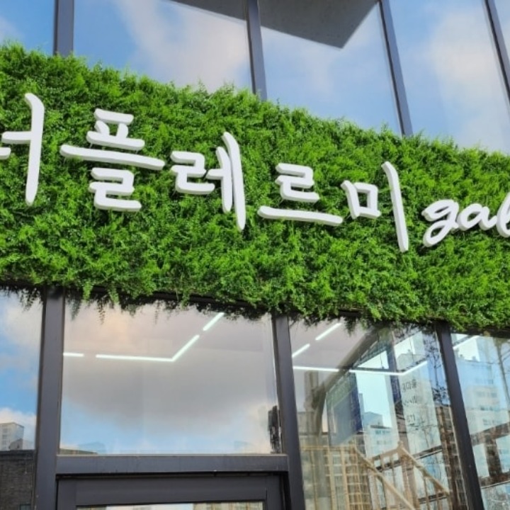 더플레르미