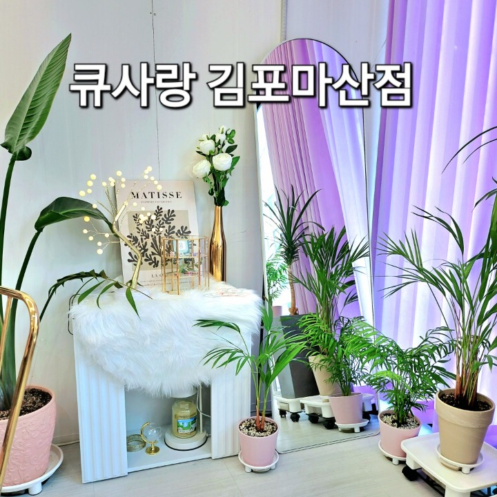 큐사랑 염색방 .두피.탈모관리