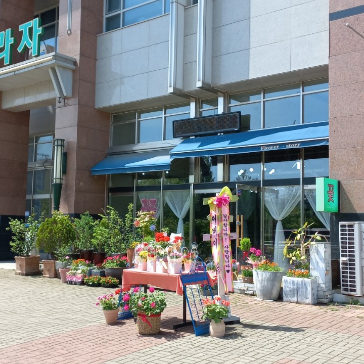 플라워스토리