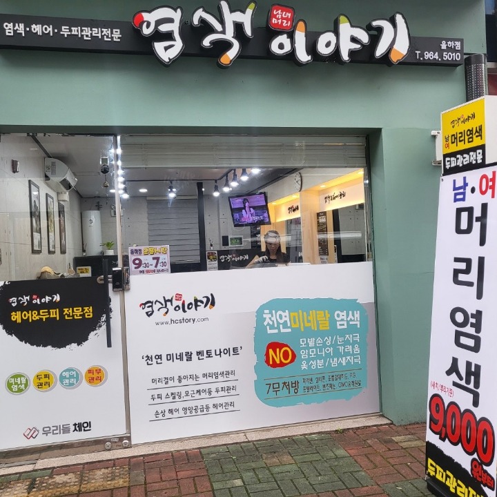 염색이야기