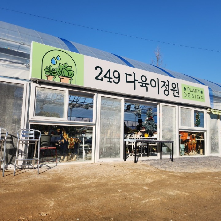 249다육이정원