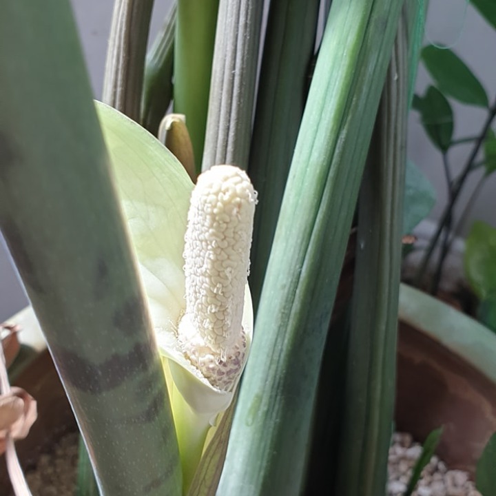 컴퓨터수리