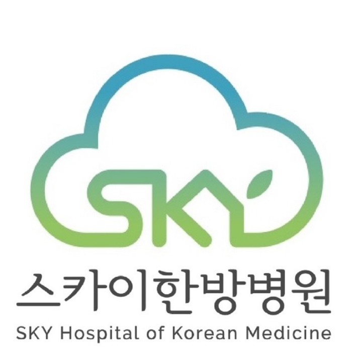 스카이한방병원