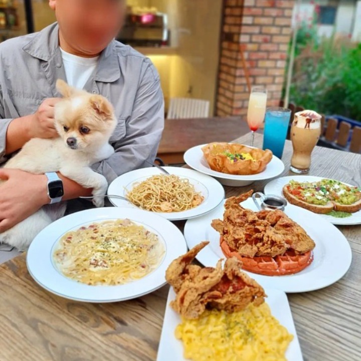 라플러쉬 