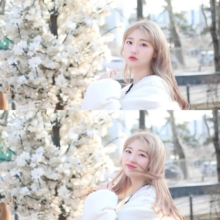 스냅촬영 퍼플리