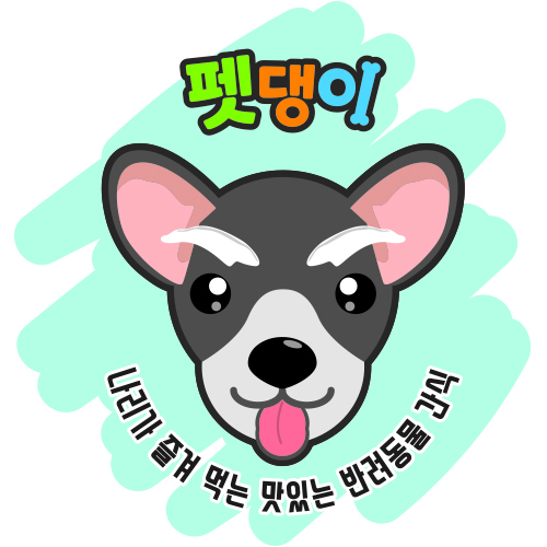 펫댕이