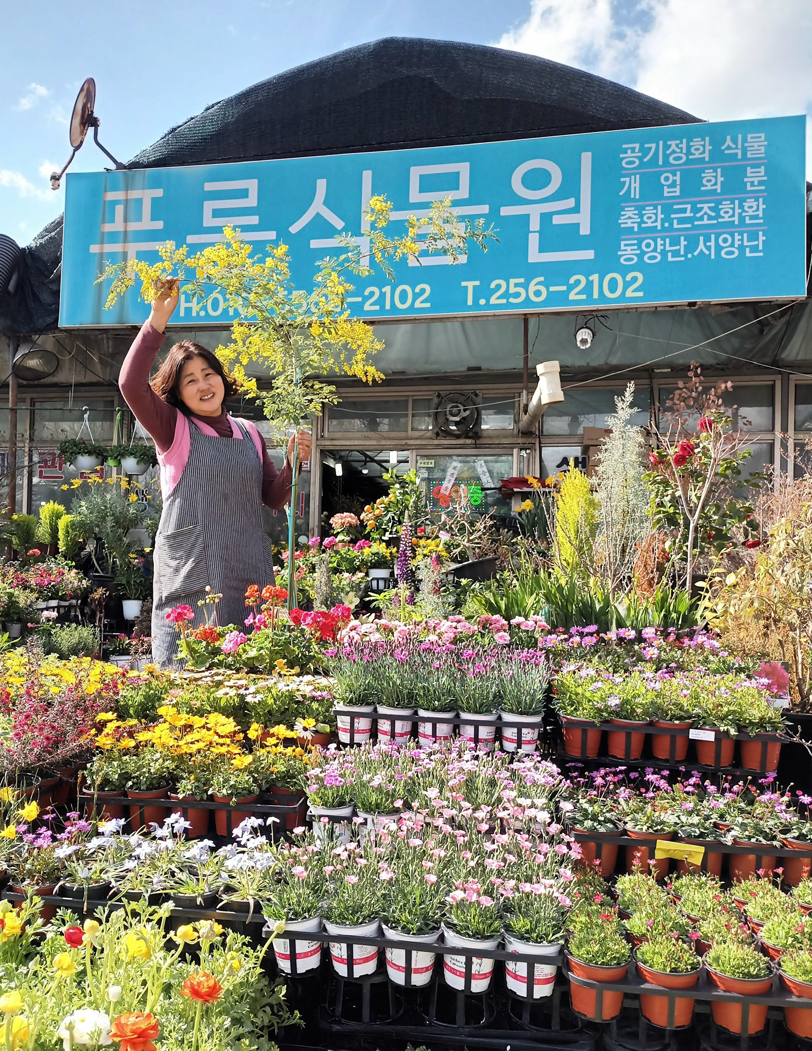 푸른꽃식물원 - 창원 picture 0