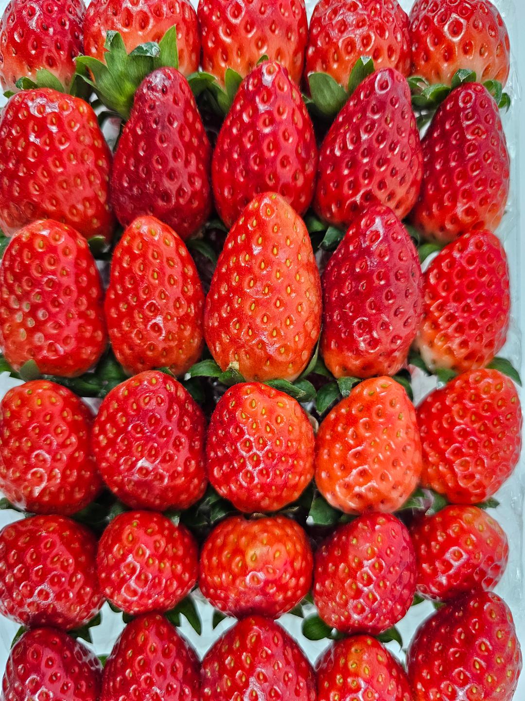 750g 24 900  750g-24-900