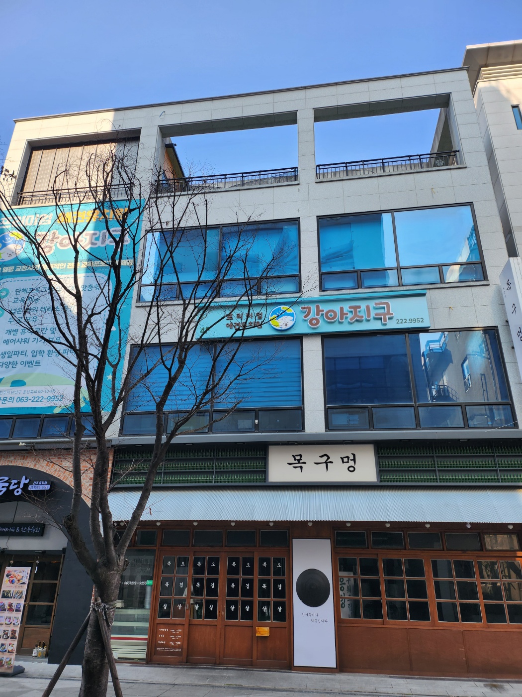 강아지구