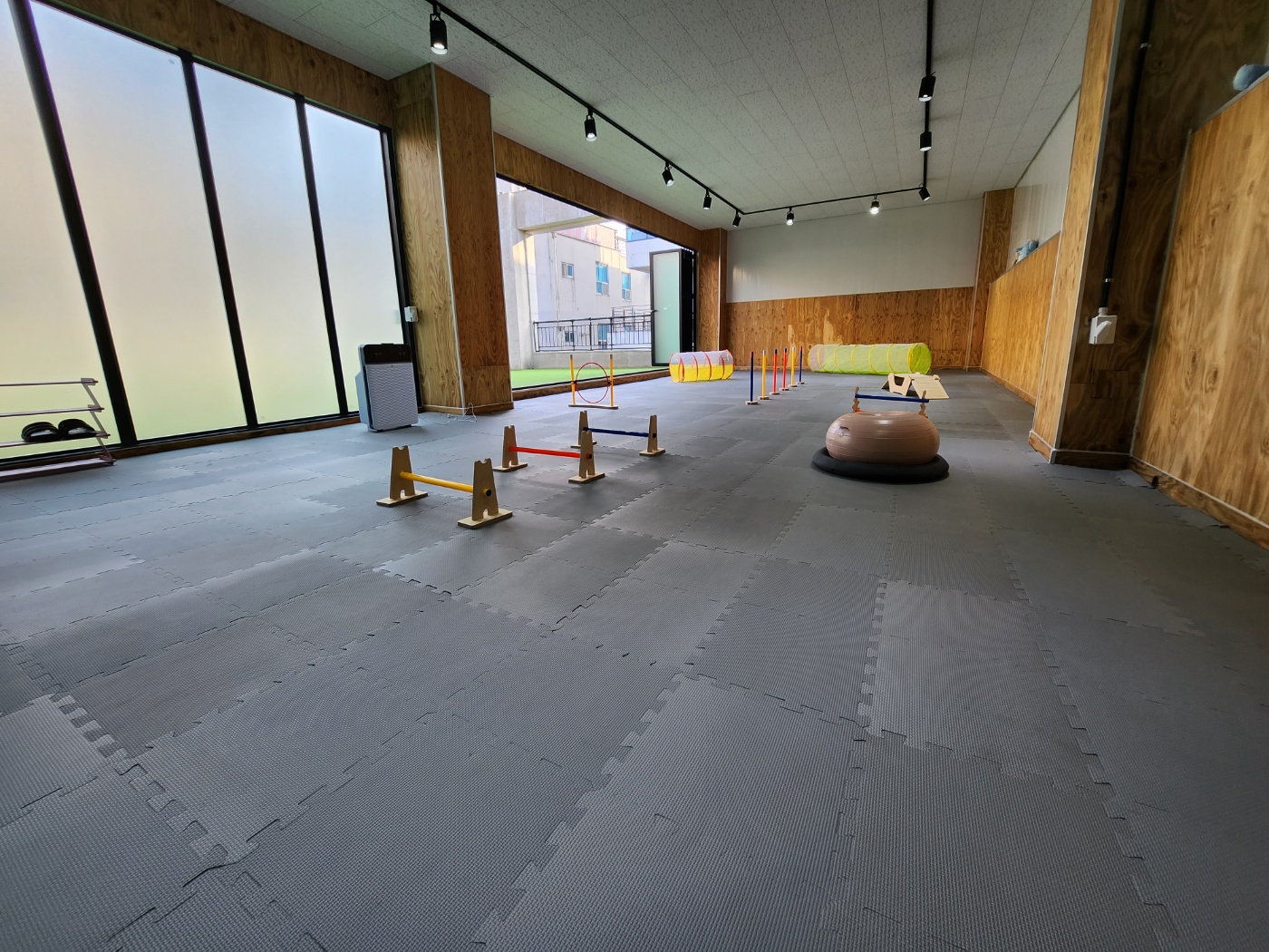 강아지구 picture 2