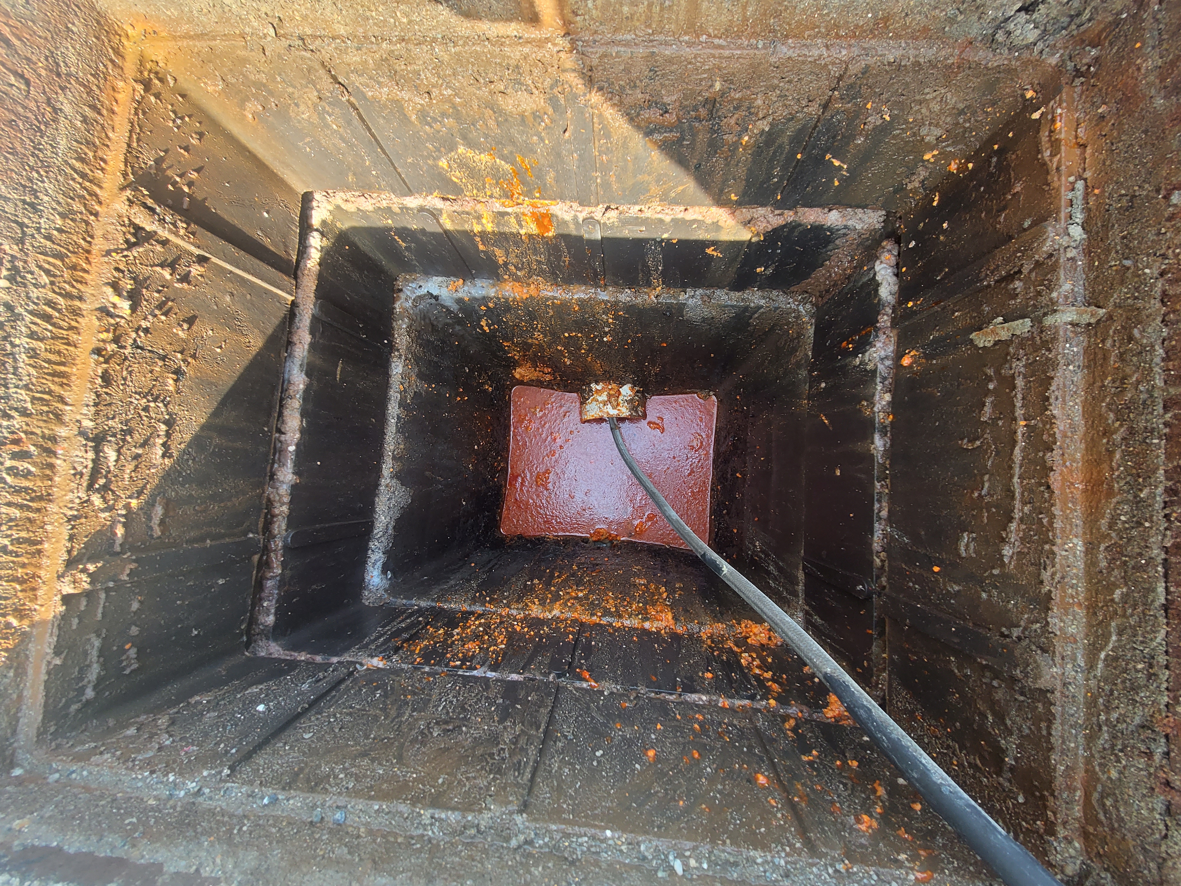 광명시 동배고 picture 9