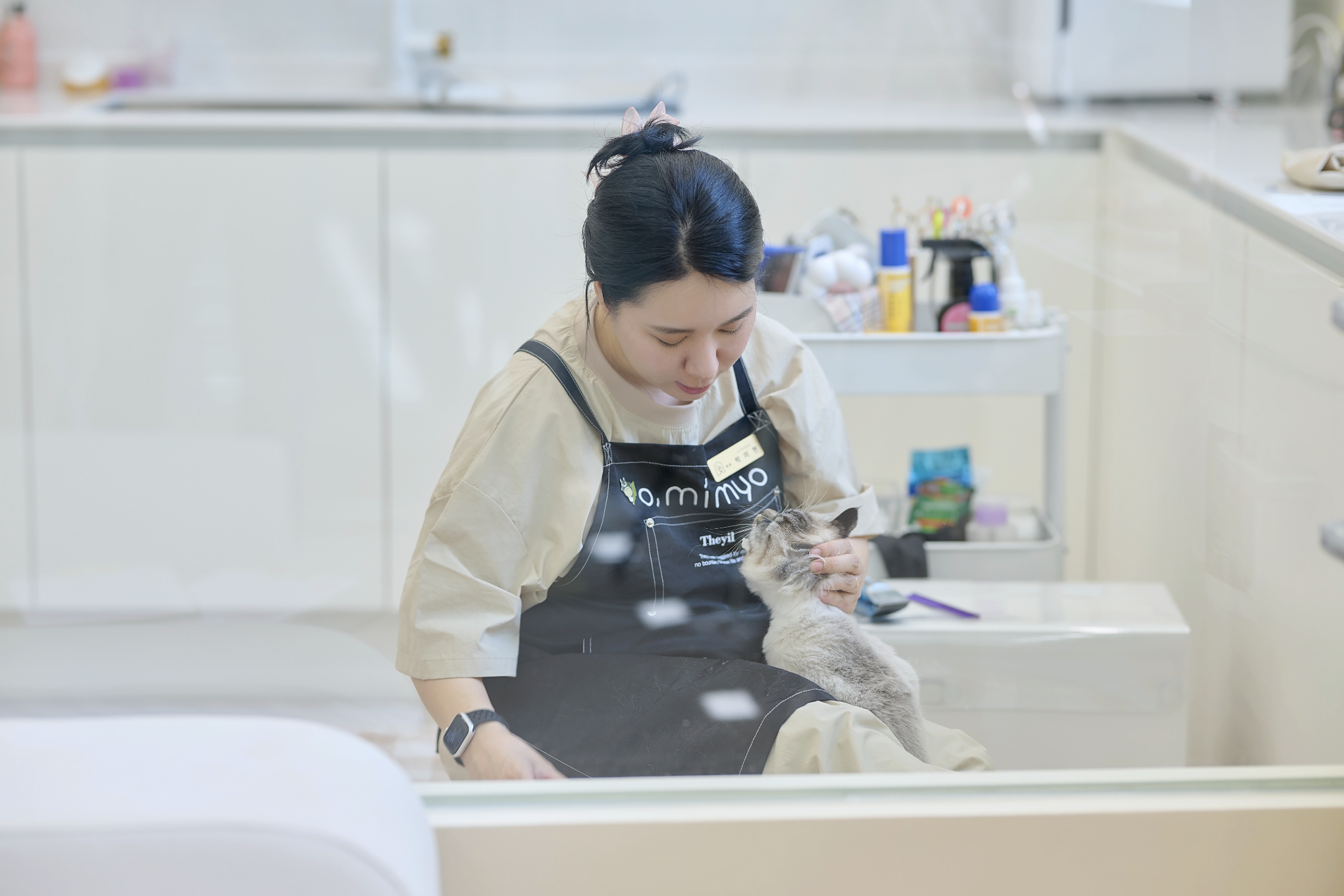 오늘도미묘 고양이미용&호텔 picture 7