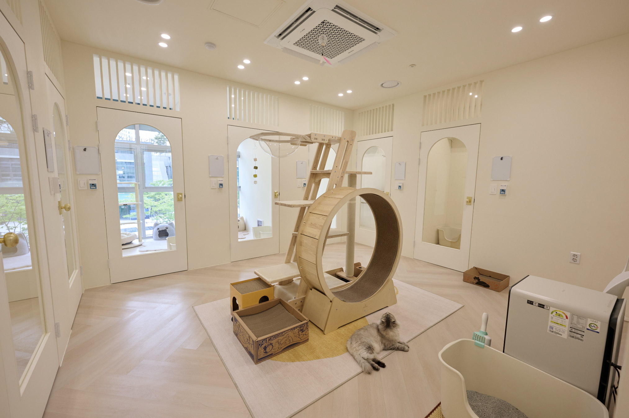 오늘도미묘 고양이미용&호텔 picture 9
