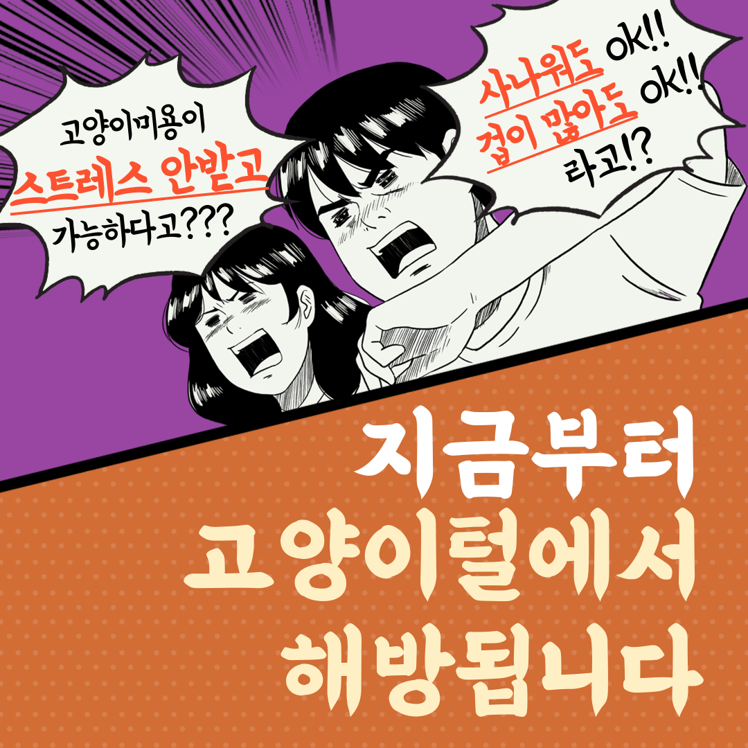 고양이털 스트레스 없이 밀어드립니다.