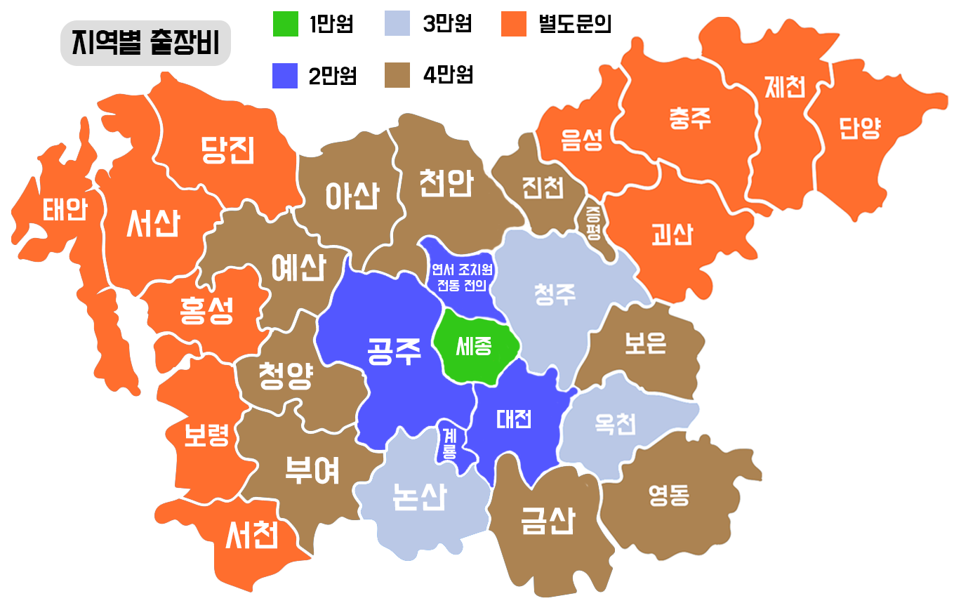 오늘도미묘 고양이미용&호텔 picture 3