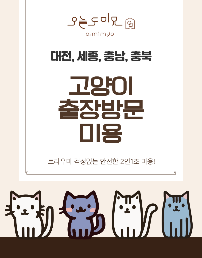 안전한 고양이 무마취미용 이제 집에서 받아보세요!