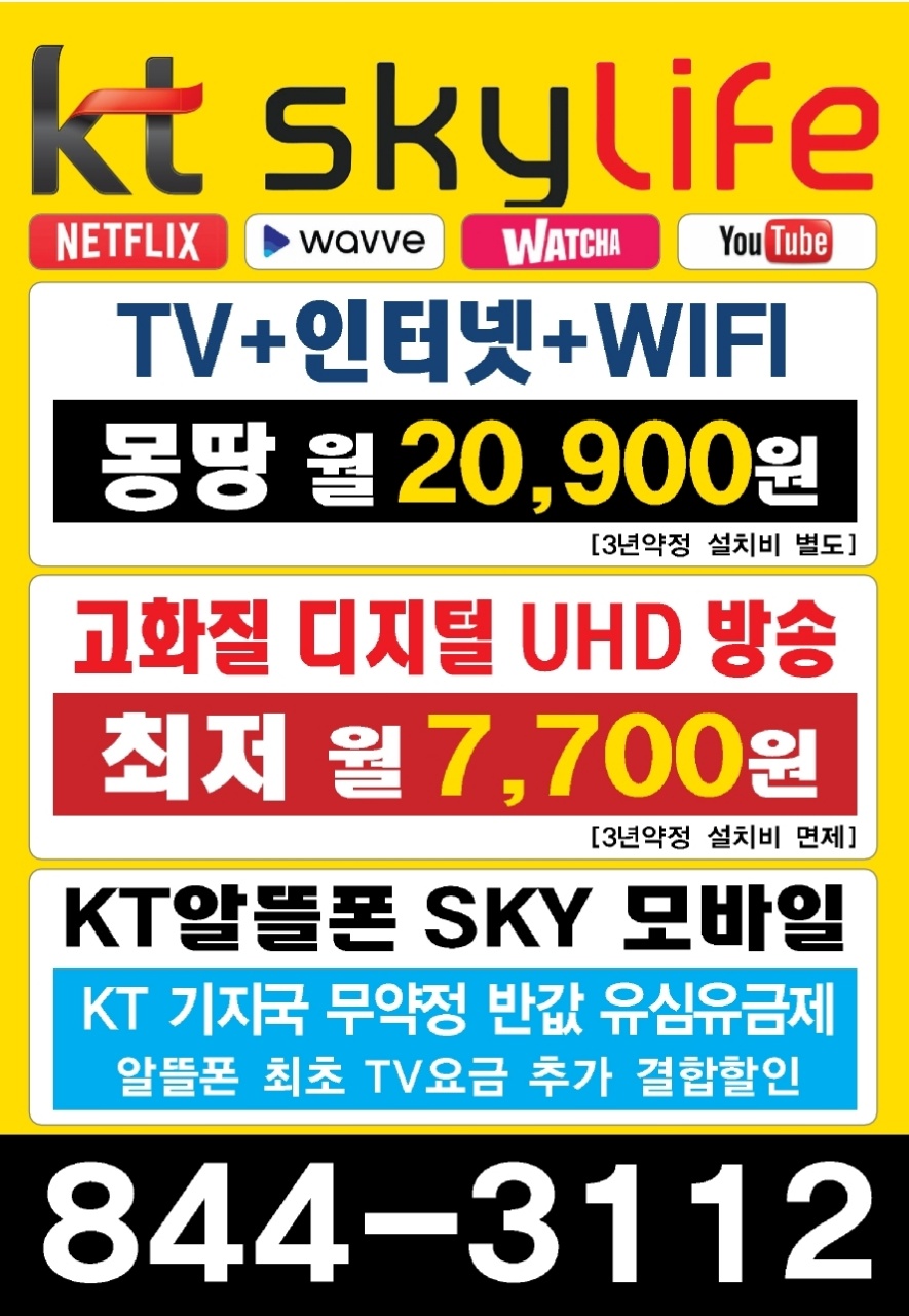 TV+인터넷+와이파이 에 KT알뜰폰까지 KT스카이라이프 충주센터 | 충청북도 충주시 단월동 | 통신판매 | 당근 비즈 소식