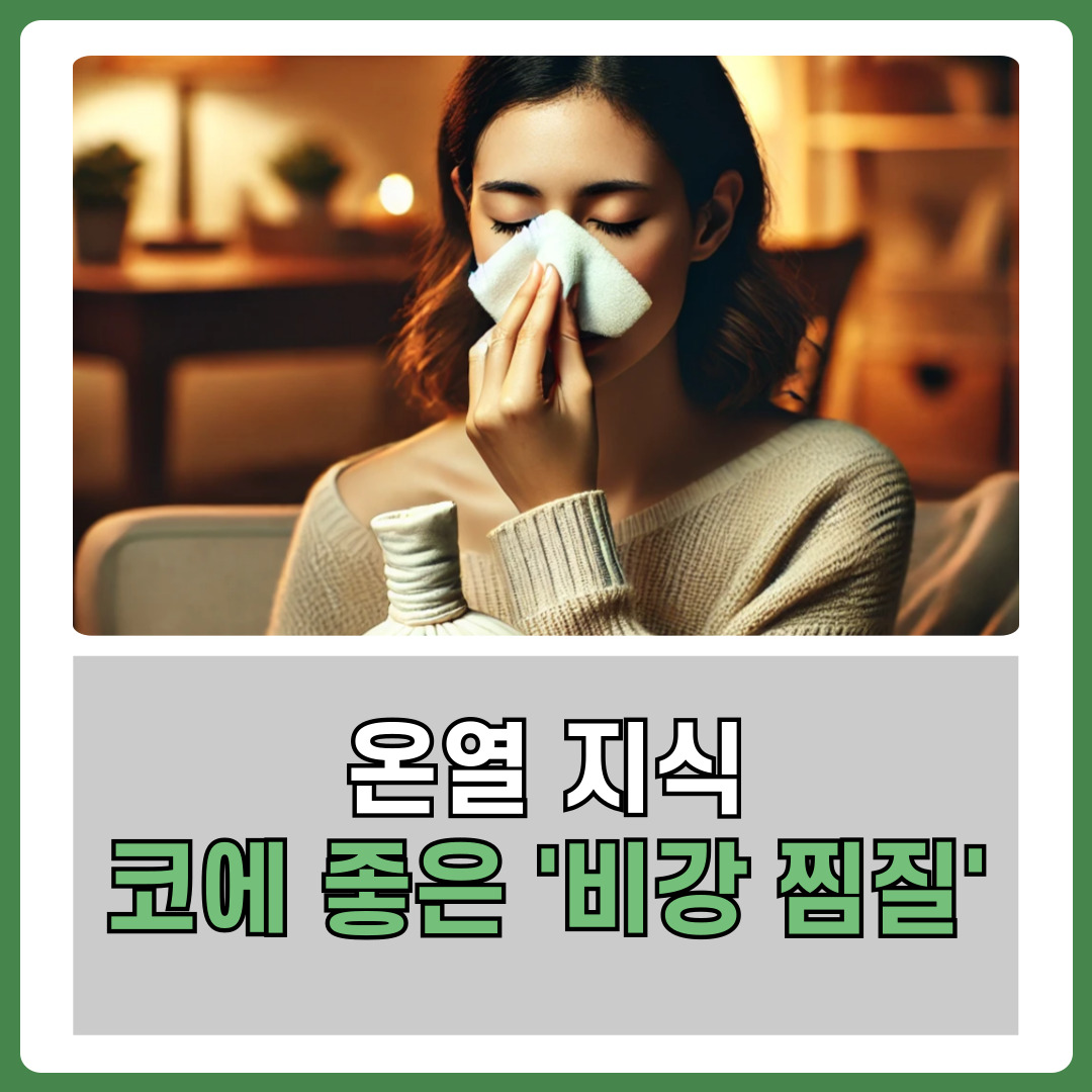 비염, 축농증에 좋은 '비강 찜질' | 경기도 성남시 수정구 창곡동 | 사우나/온천/찜질방 | 당근 비즈 소식