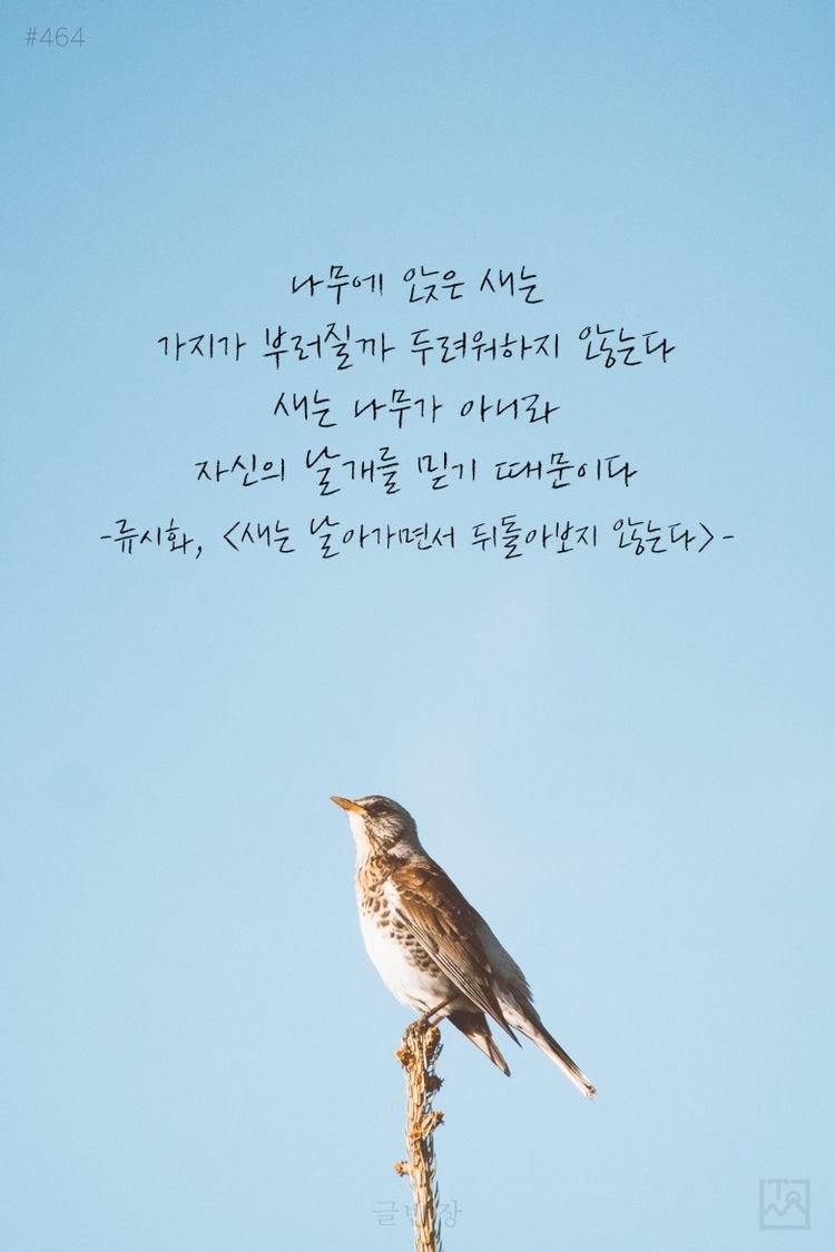 인생을 살아가면서 도움이 되는 명언들 ~ 숭실대입구 스터디카페 추천 : 스터디어스 스터디카페  