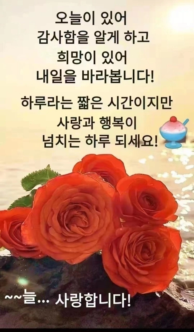 🌹즐거운 연휴 행복한 하루 보내세요~🌹 | 충청북도 충주시 연수동 | 모바일기기 | 당근 비즈 소식