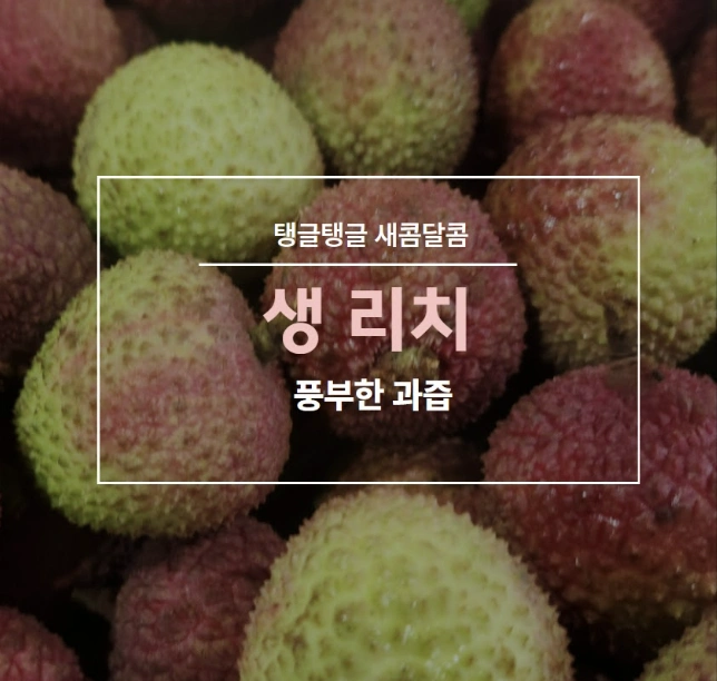 리치 - 열대 과일!!! 리치 달콤, 탱글 부드러운 식감 - 부산광역시 동래구 사직동 | 비즈프로필