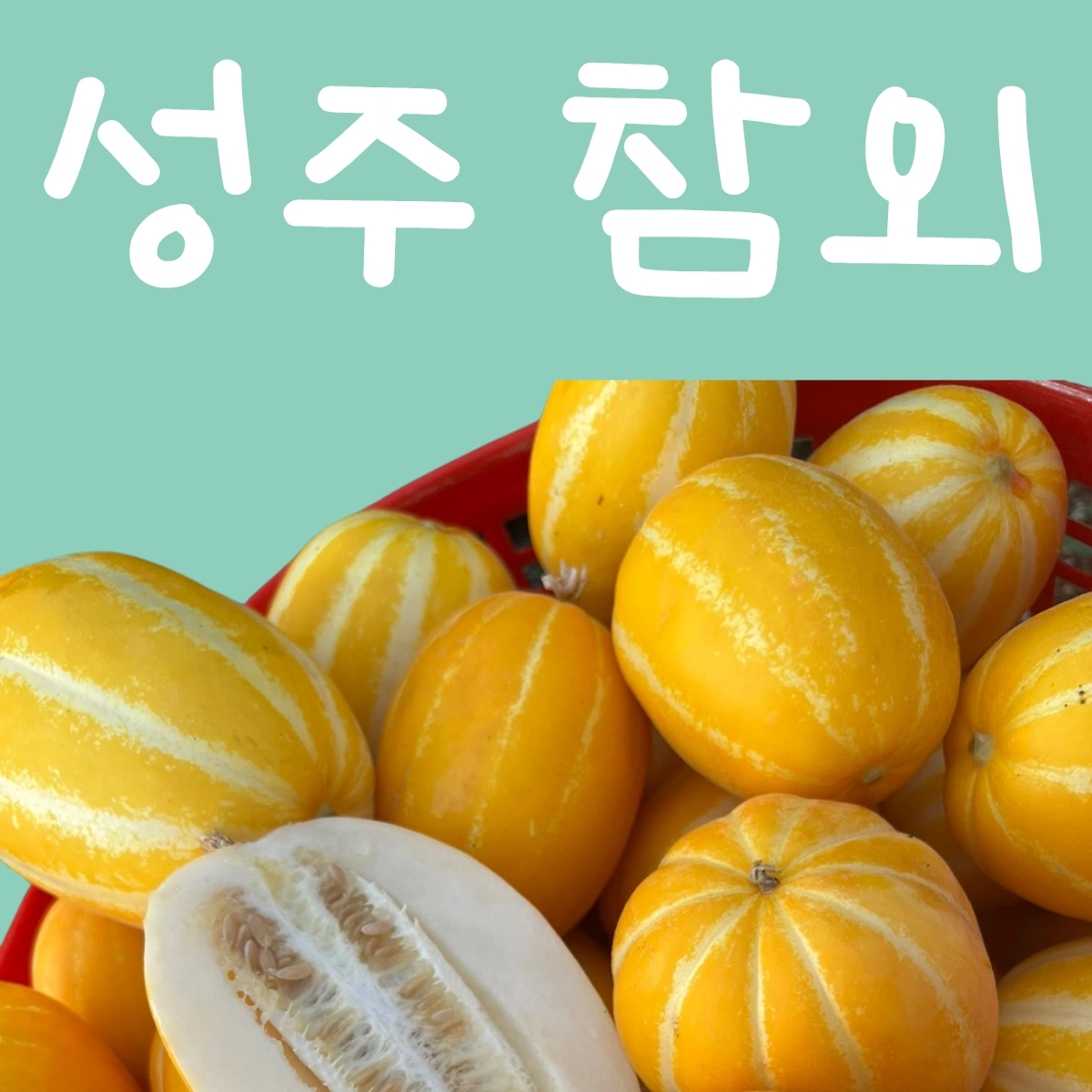 성주 참외 1.5kg 2.5kg 4.5kg | 경기도 과천시 별양동 | 농산물종합판매 | 당근 비즈 소식