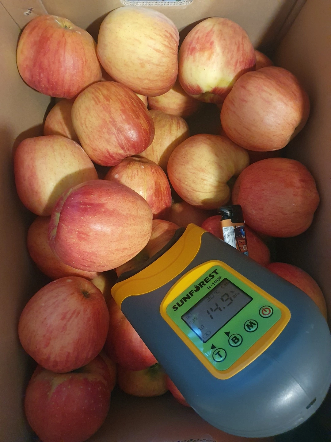 홍로 사과 2kg 26,000원에 선착순 당근합니다^^ - 경기도 오산시 세교동 | 비즈프로필