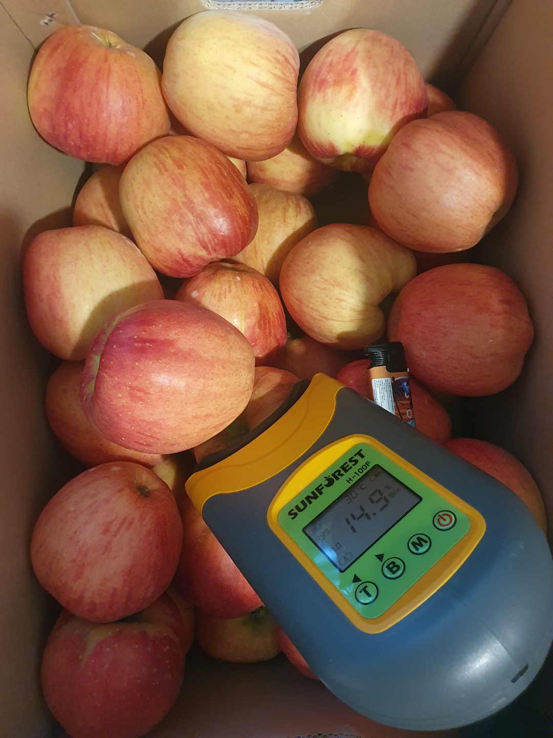 홍로 사과 2kg 26,000원에 선착순 당근합니다^^ - 경기도 오산시 세교동 | 비즈프로필