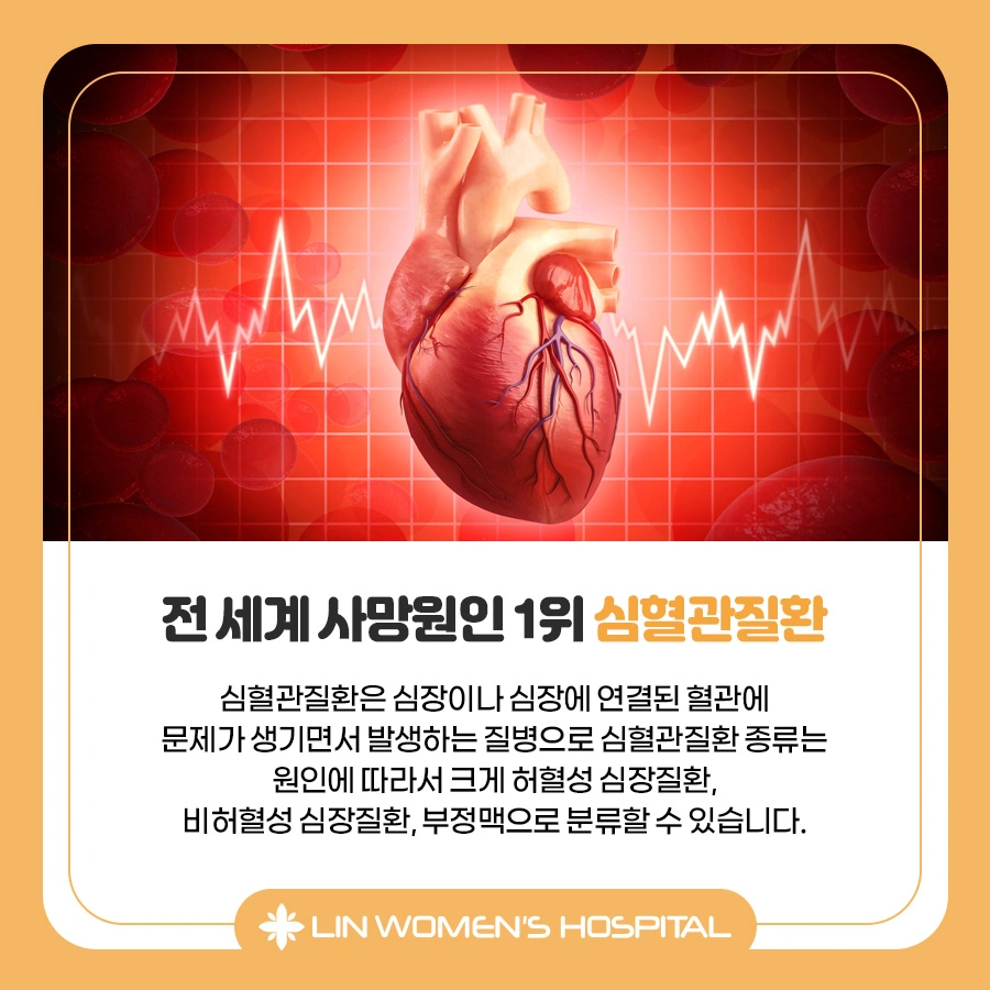 심혈관질환 종류 알아보고 미리미리 예방하기 | 서울특별시 동대문구 장안동 | 산부인과 | 당근 비즈 소식
