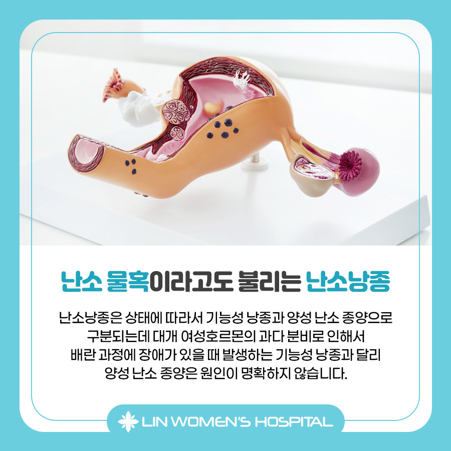 난소 물혹 크기에 따라 달라지는 치료방법 - 서울특별시 동대문구 장안동 | 비즈프로필