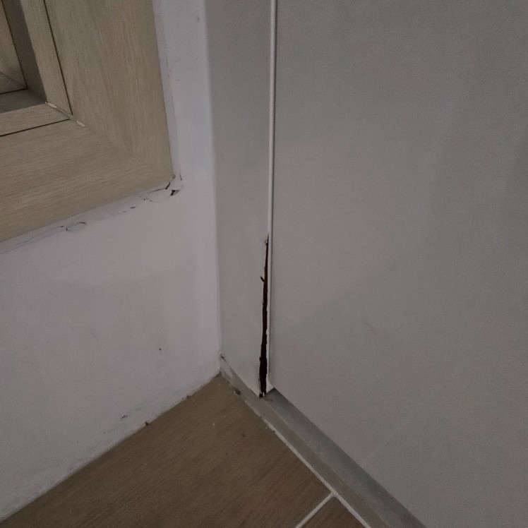 국대인테리��어필름 picture 3