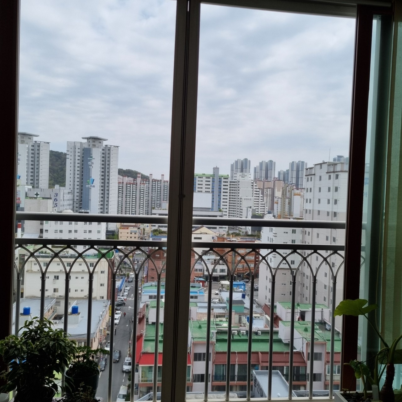 점프 방충망 picture 6