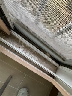 백설클린 picture 8
