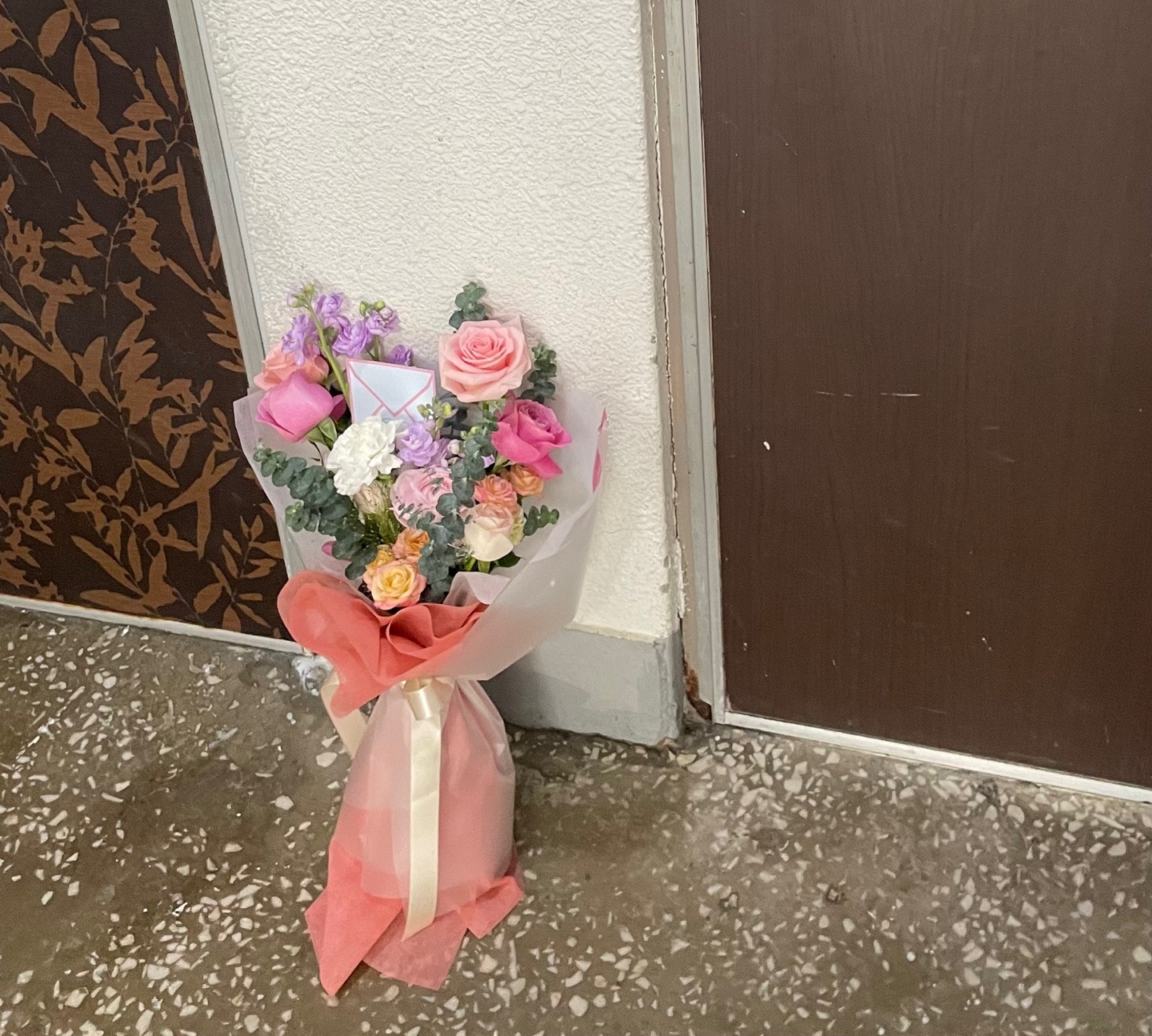 플라스티코 플랜트 picture 1