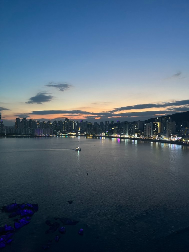 티앤북스광안점 picture 6