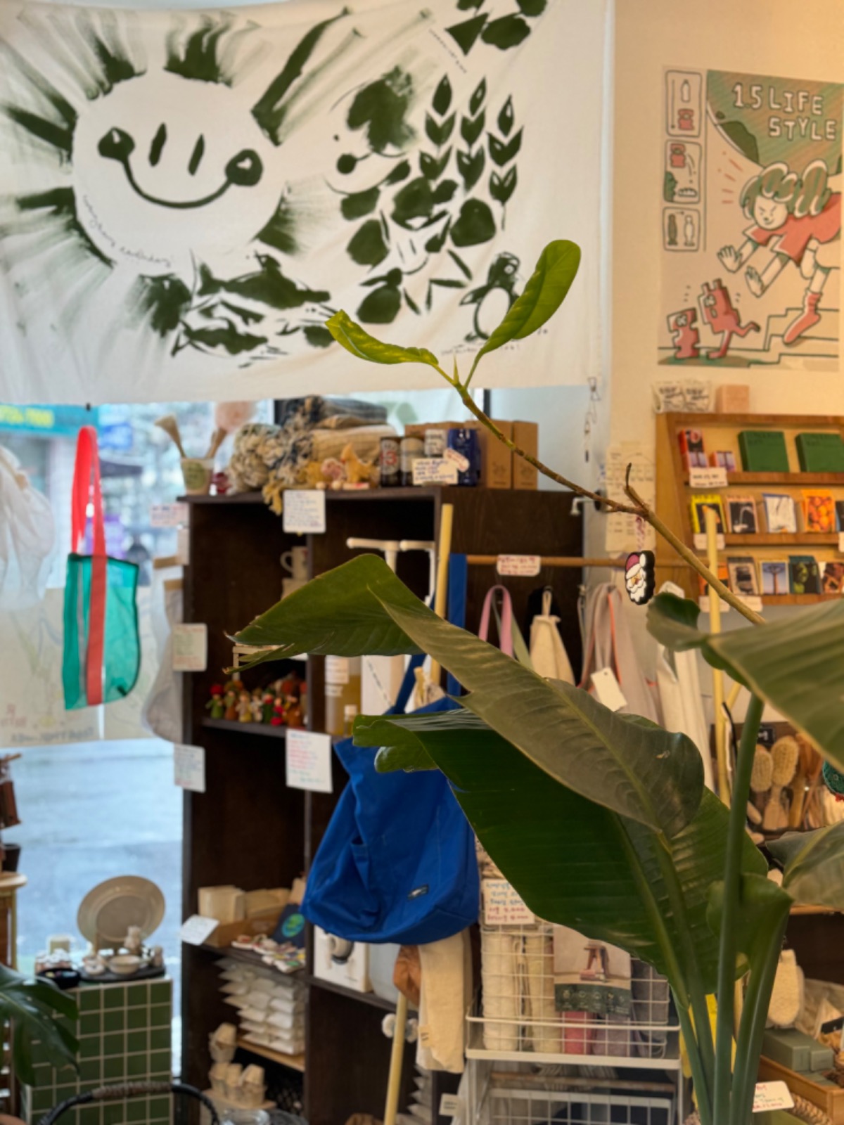 1.5도씨(일점오도씨) picture 6
