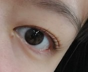 캠코 review