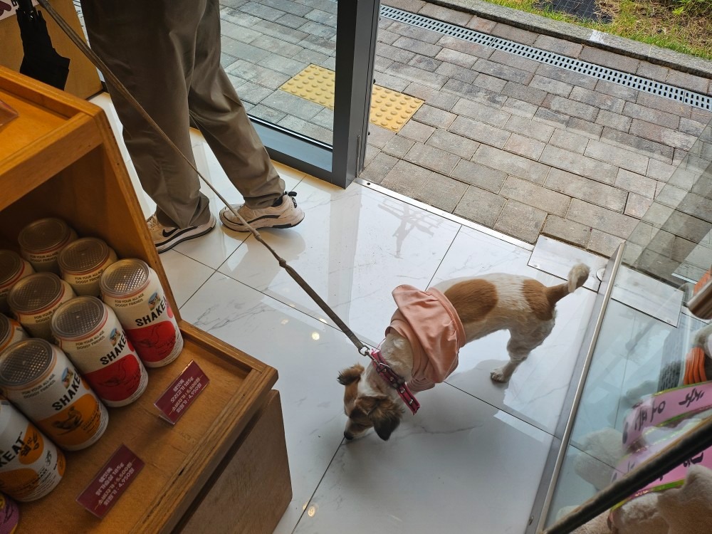 견생냥품 무인24시 신대방삼거리점 picture 2