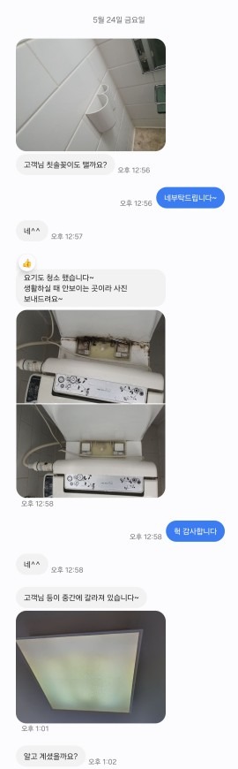 금빛나는 청소 picture 5