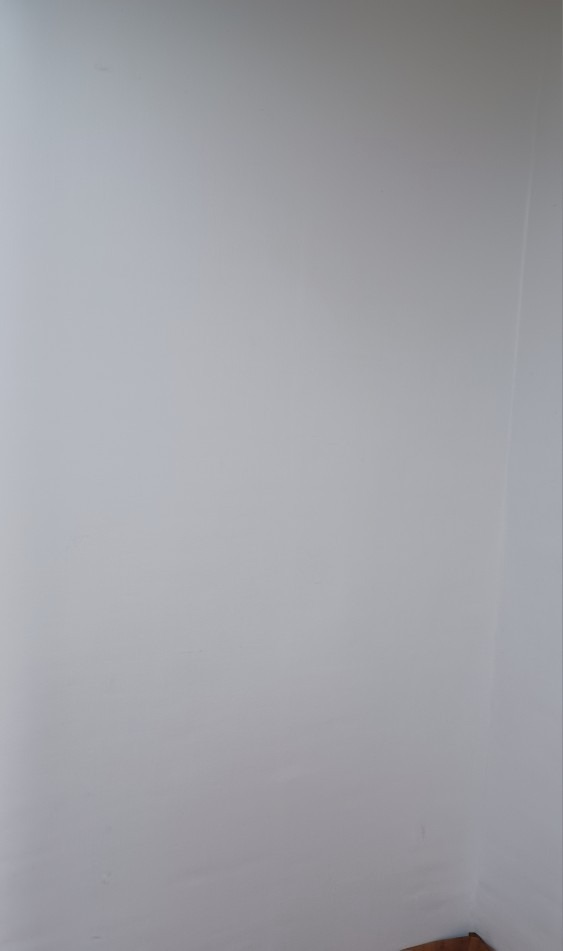 다한도배 picture 5