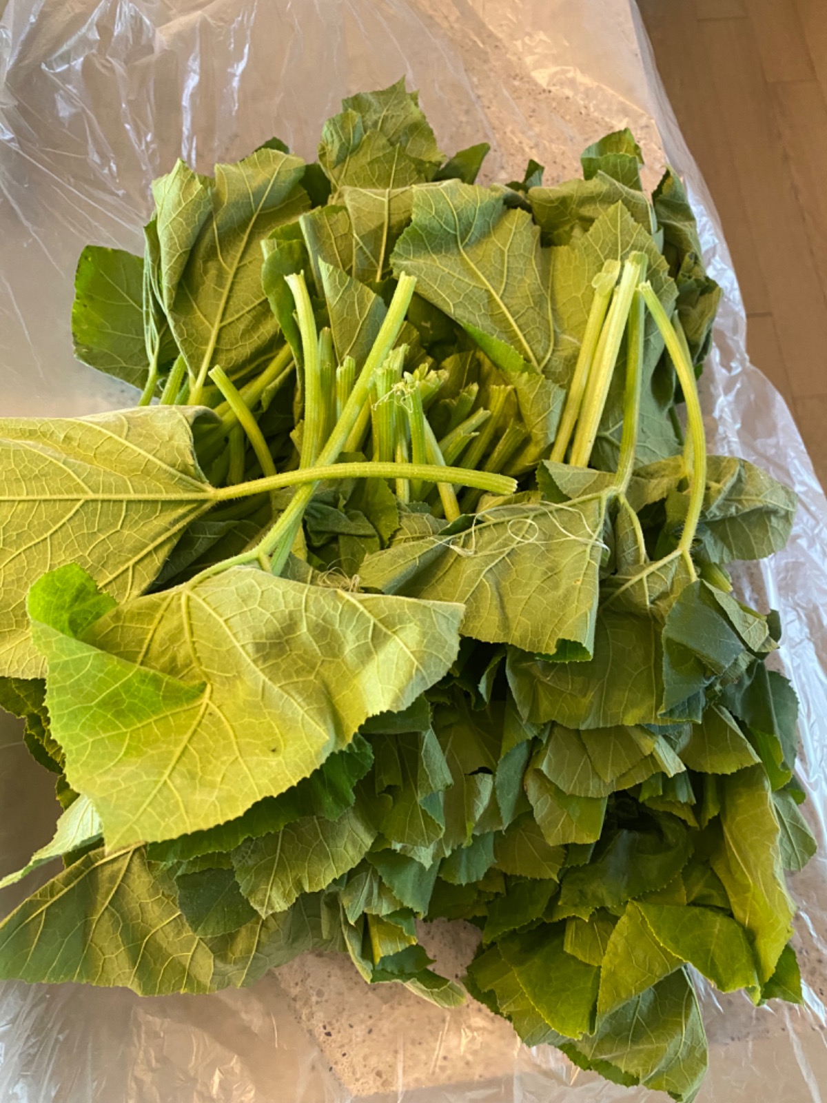 자연한잔 picture 2