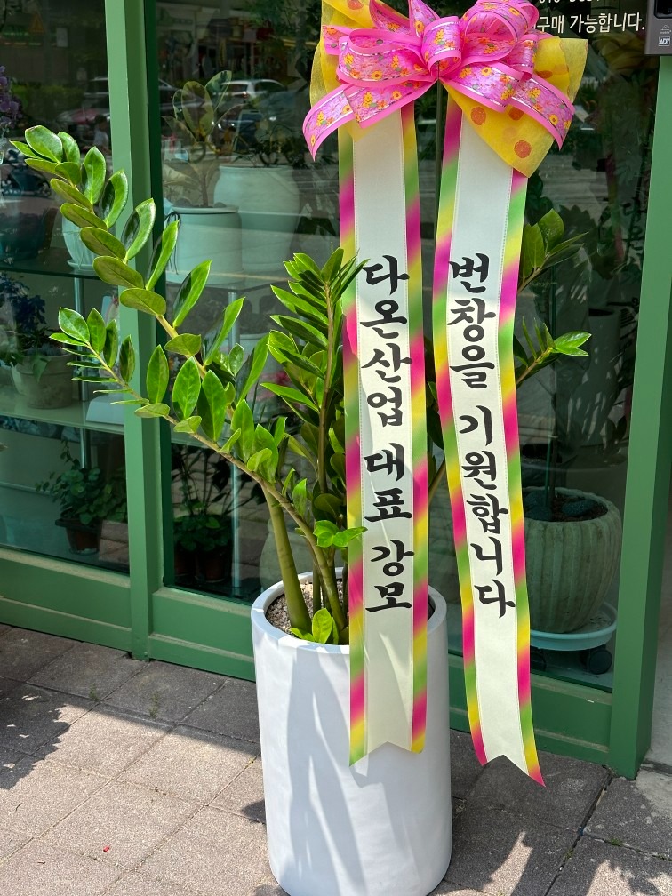 양심딜러강모 review