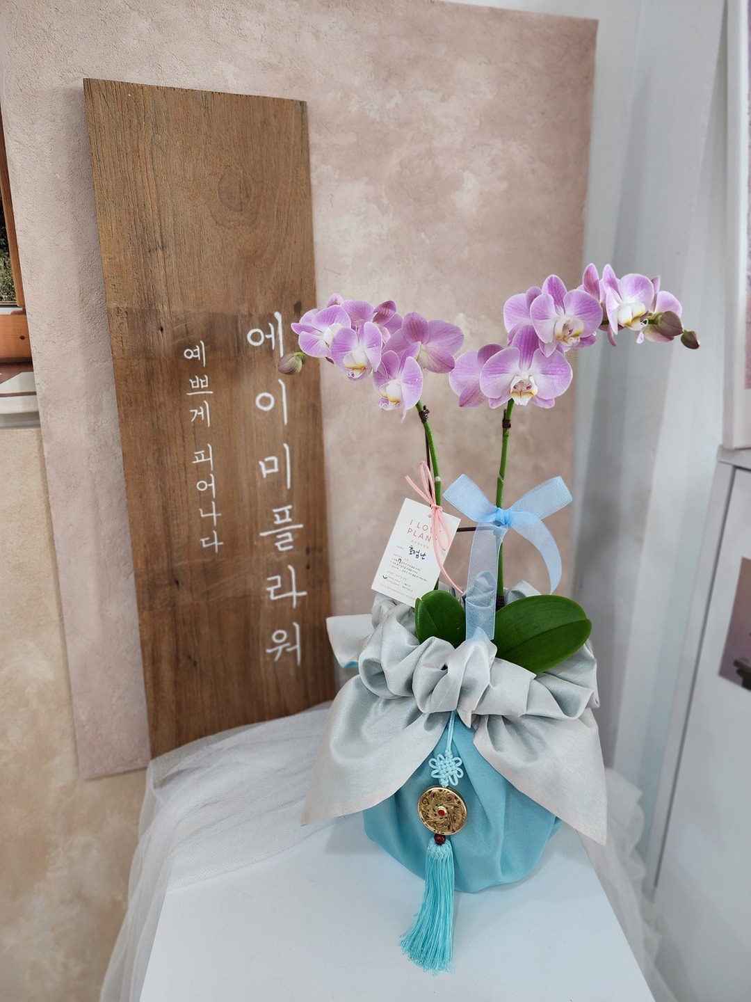 에이미플라워 picture 1