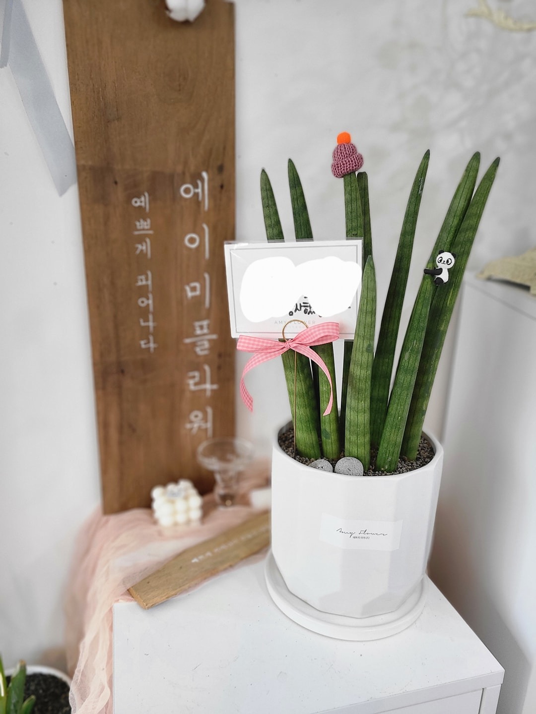 에이미플라워 picture 9